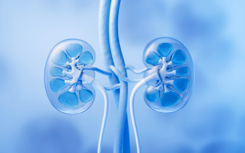 Medical Procedure